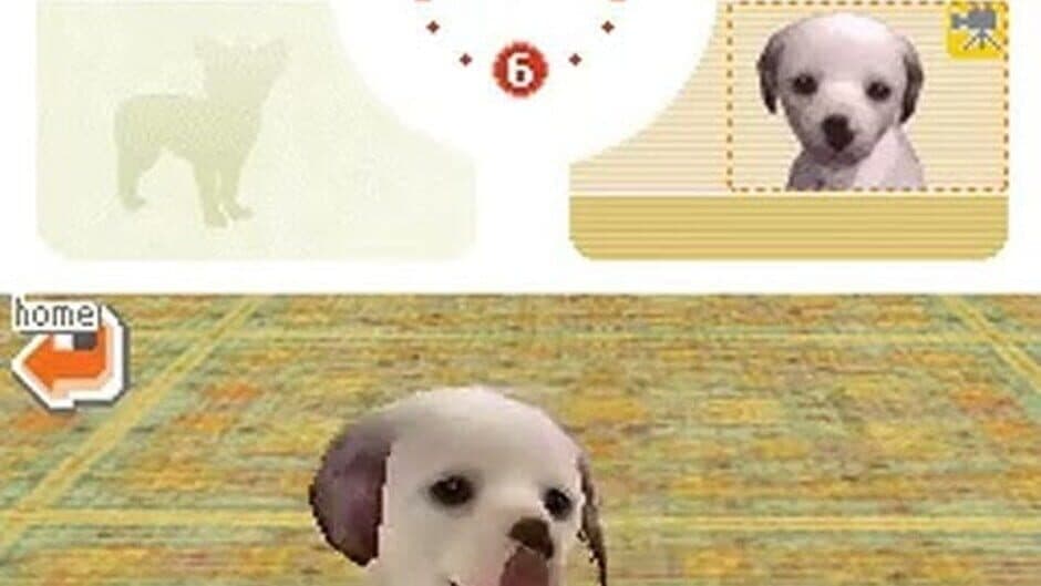 Nintendogs: Dalmatian & Friends screenshot
