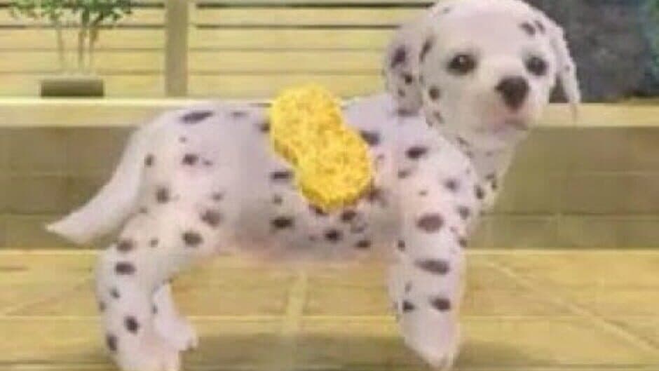 Nintendogs: Dalmatian & Friends screenshot
