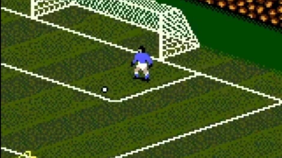 FIFA Soccer 96 screenshot