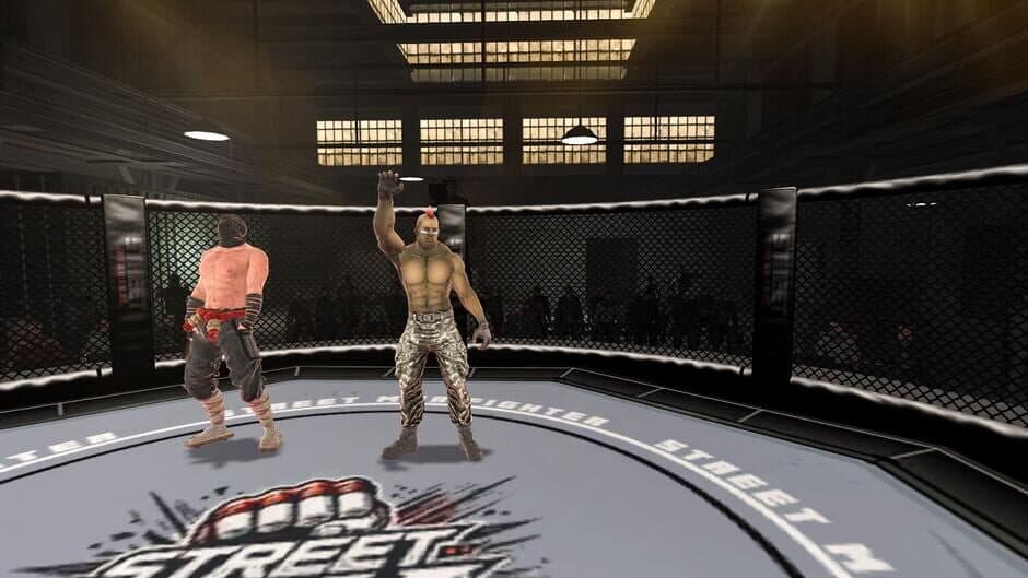 Street Combat: Ultimate MMA Fighters screenshot