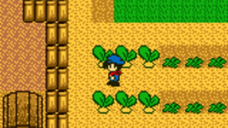 Harvest Moon GB screenshot