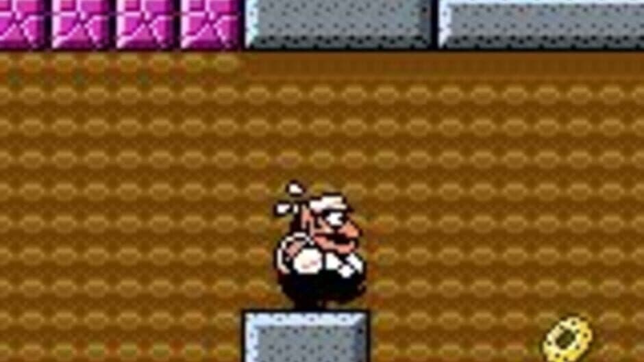 Wario Land 3 screenshot