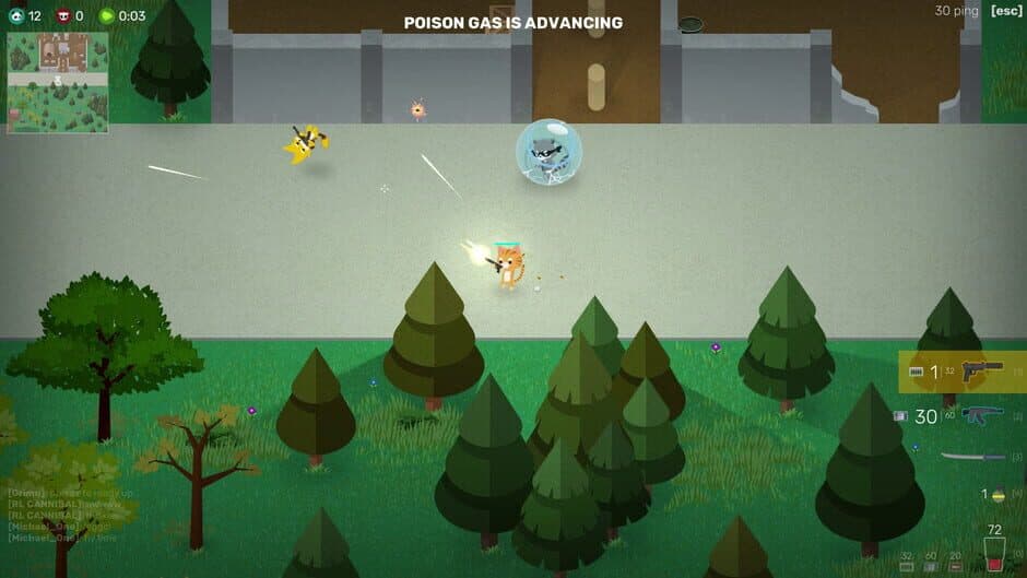 Super Animal Royale screenshot