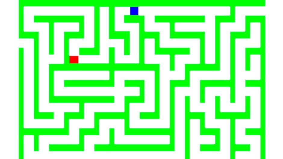 Videocart-10: Maze, Cat and Mouse screenshot
