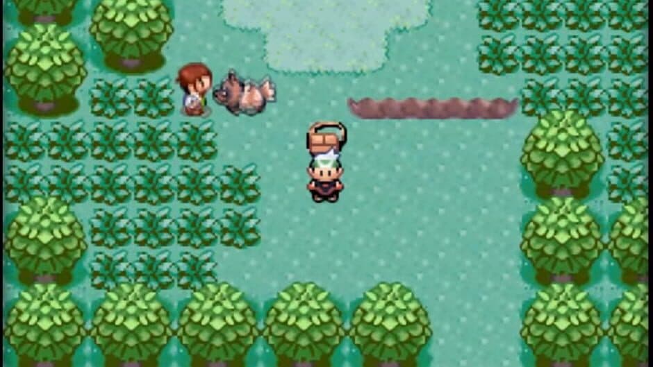 Pokémon Emerald Version screenshot