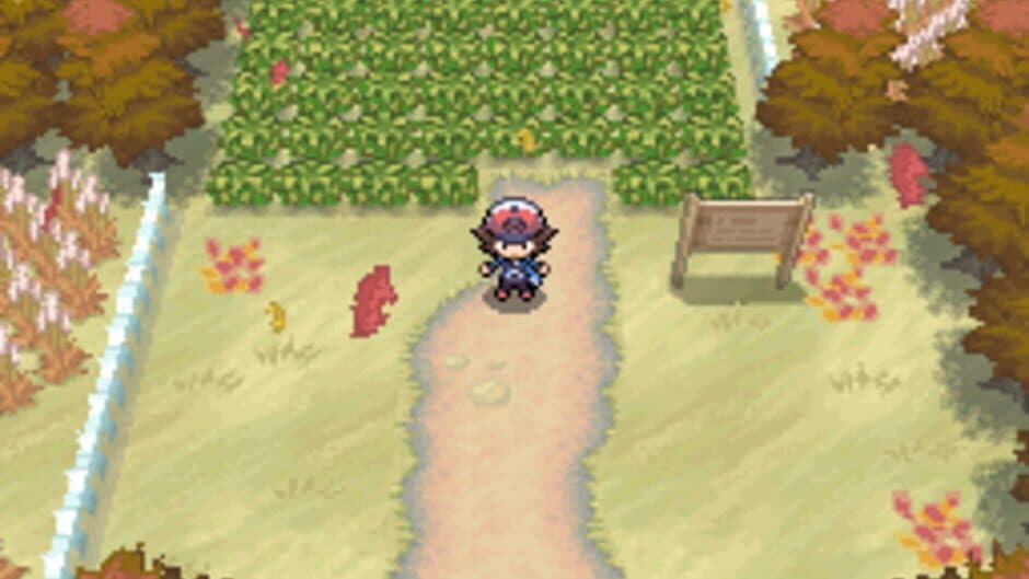 Pokémon Black Version screenshot