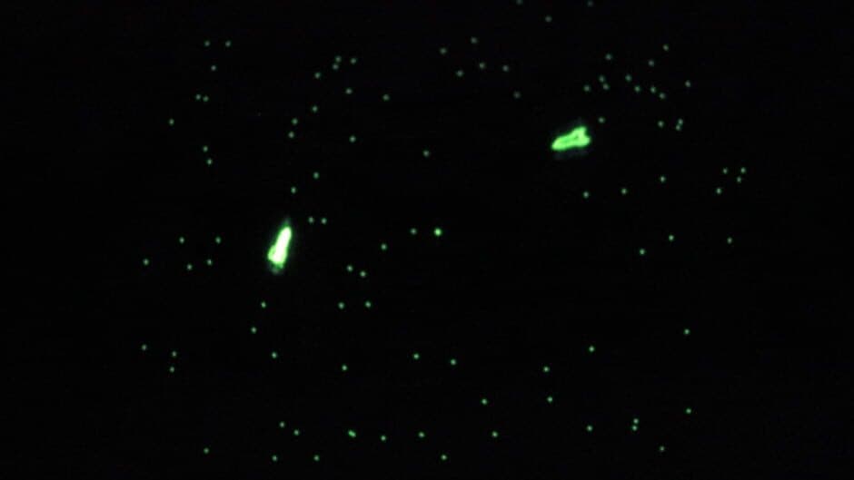 Galaxy Game screenshot