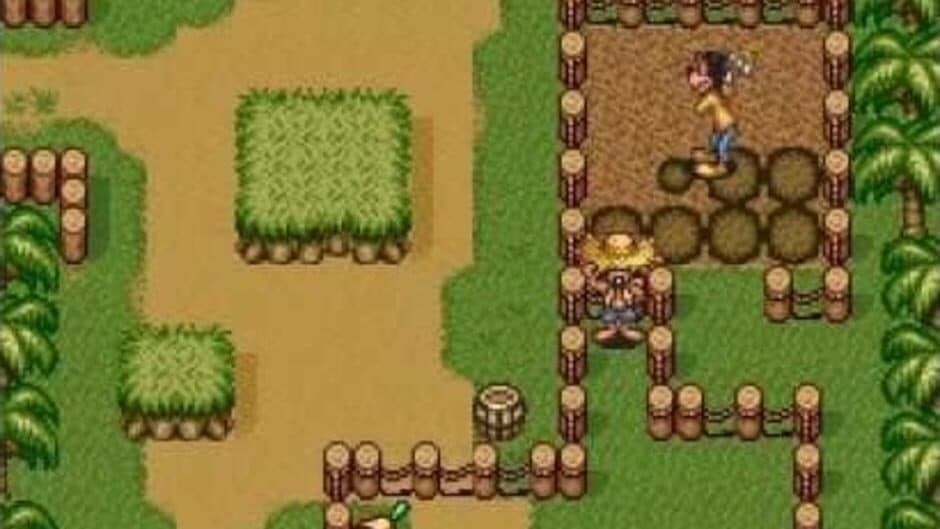 Disney's Goof Troop screenshot