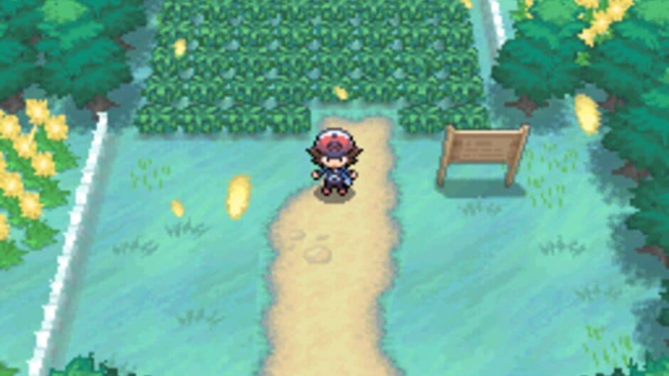 Pokémon Black Version screenshot