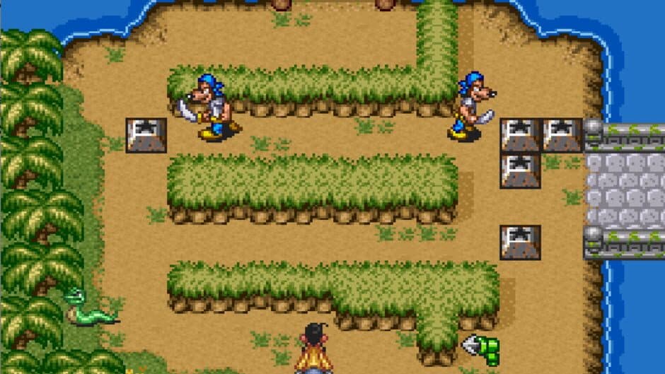 Disney's Goof Troop screenshot