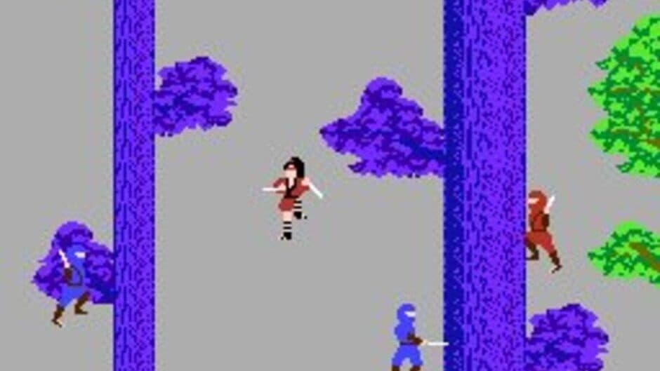 The Legend of Kage screenshot