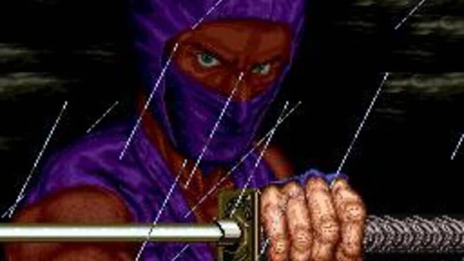 Ninja Gaiden screenshot