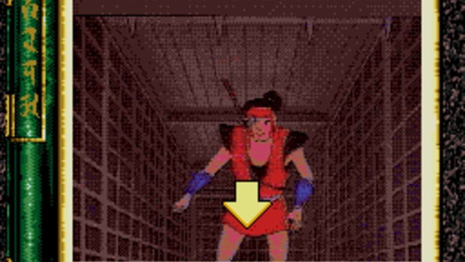 Revenge of the Ninja screenshot