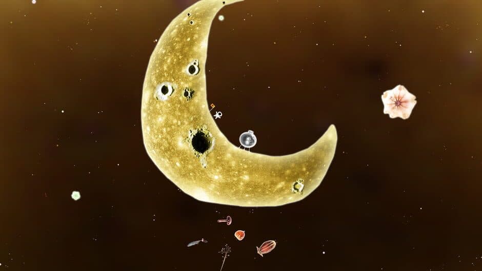 Botanicula screenshot