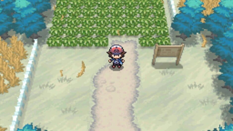 Pokémon Black Version screenshot