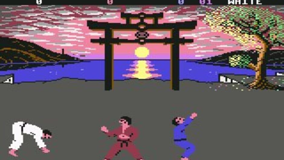 International Karate + screenshot