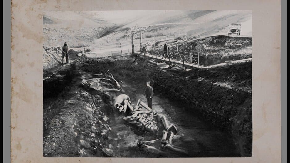 Wolfenstein: The Old Blood artwork